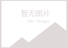 日照岚山忆霜机械有限公司